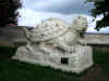 Une tortue dragon dans le jardin du chteau