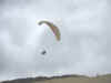 Une aile en haut de la Dune