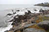 La cote sauvage de Quiberon