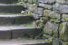 Il me prcde sur les marche du jardin