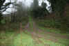 Le rve de mon enfance... le chemin creux