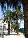 Promenade le long des bureaux du port