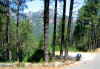 En montant au col de Bavella