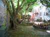 La petite place ombrage... un dlice