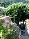 C pousse dans les remparts...