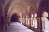 Cloite magnifique