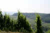 Valle de la Moselle