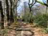 Je retrouve mon chemin... 40 ans plus tard. Rien n'a chang
