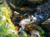 Un petit ruisseau