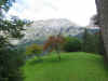 Dans le petit jardin de l'Abbaye