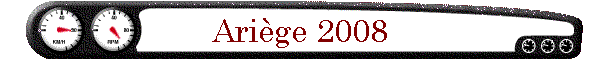 Arige 2008
