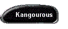 Kangourous