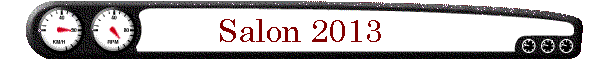 Salon 2013