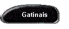 Gatinais